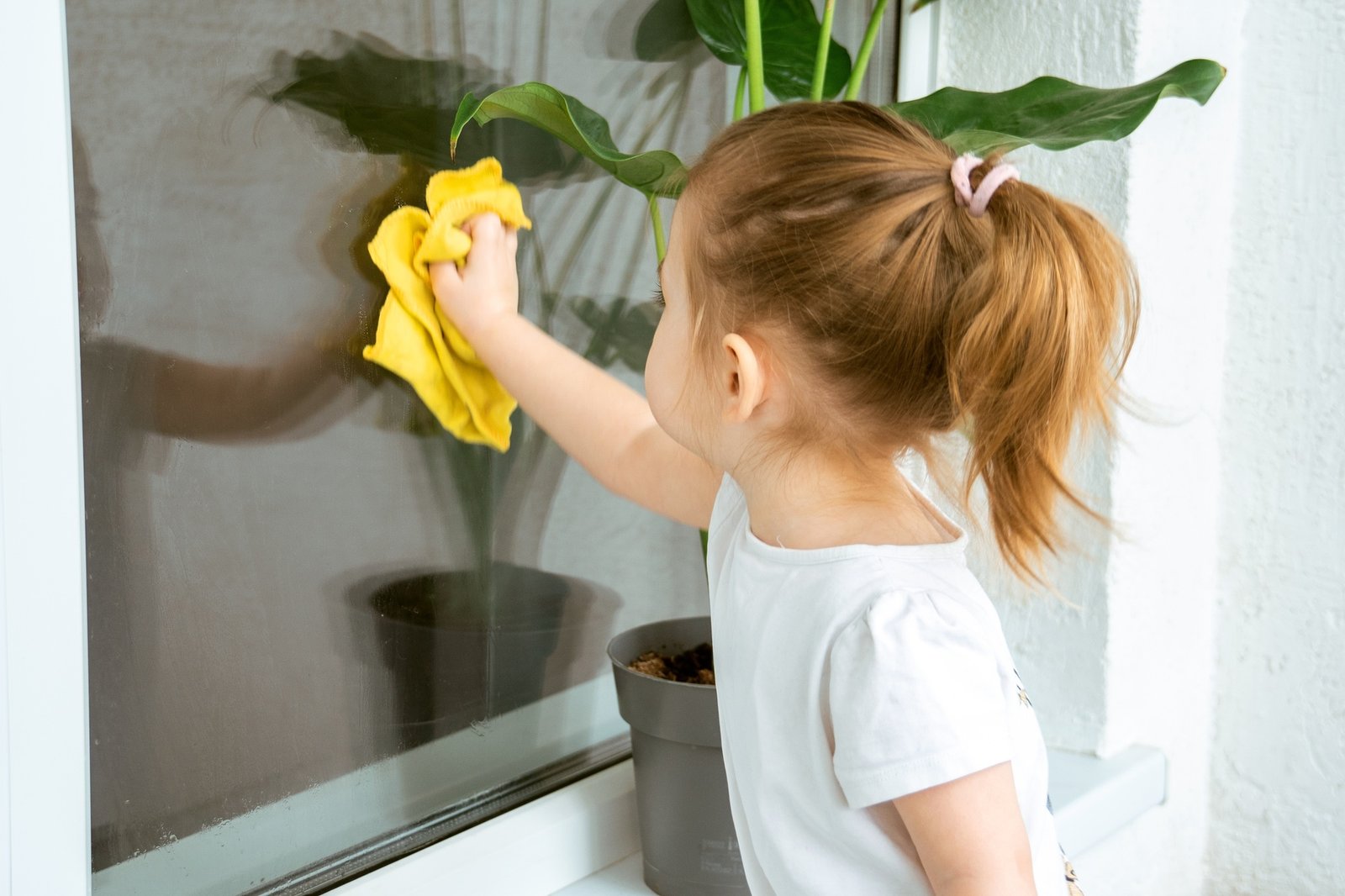 A little girl diligently washing a window.